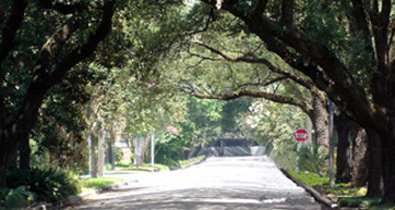 Kipling street